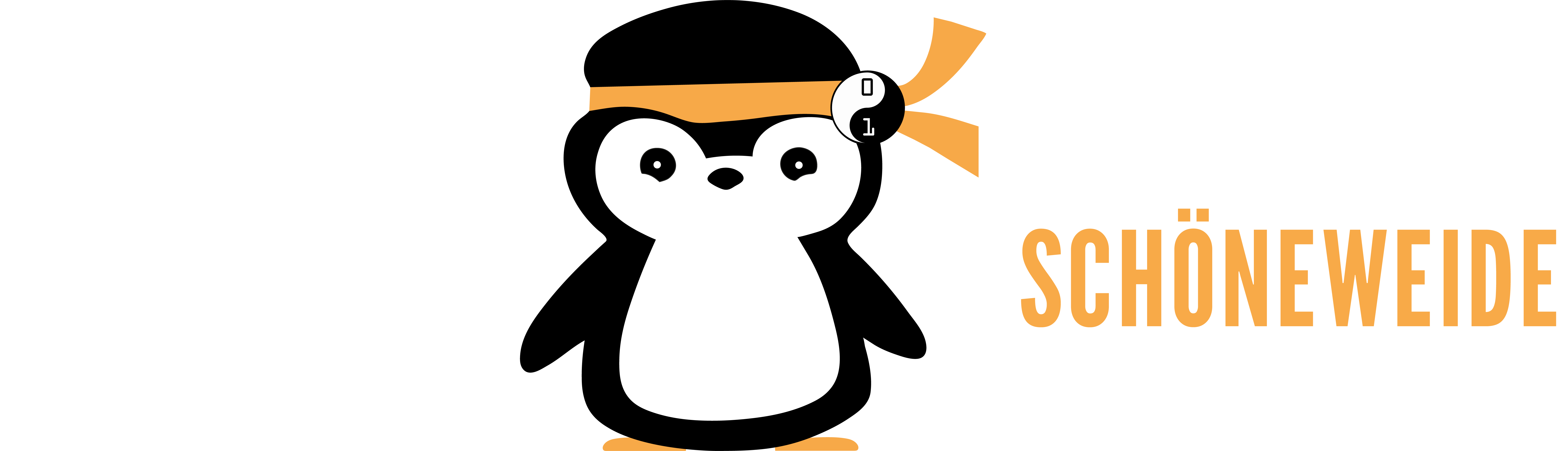 CoderDojo Schoeneweide Logo